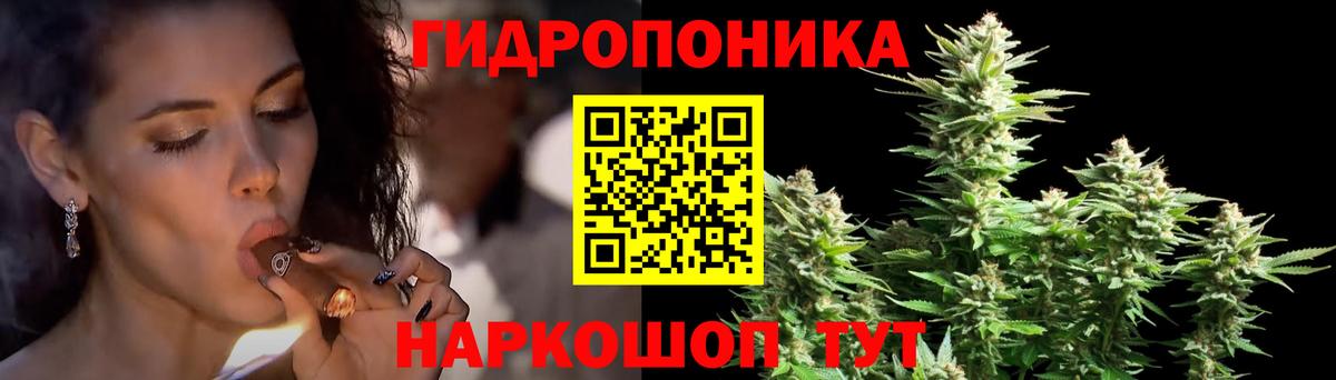 Шишки марихуана марихуана Фрязино
